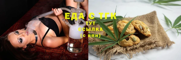 хмурый Бородино