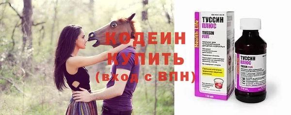 хмурый Бородино