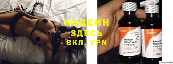 хмурый Бородино