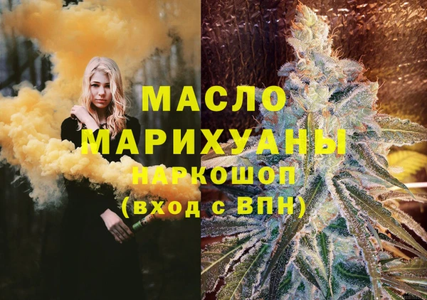 хмурый Бородино