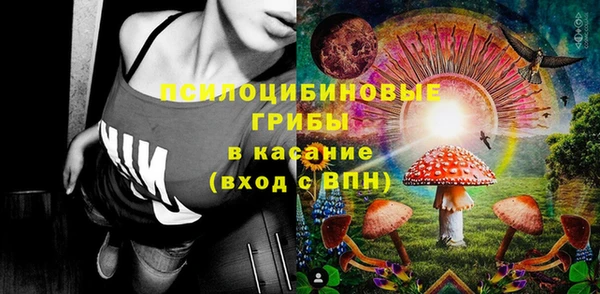 хмурый Бородино