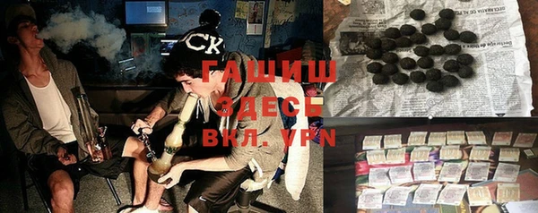 хмурый Бородино
