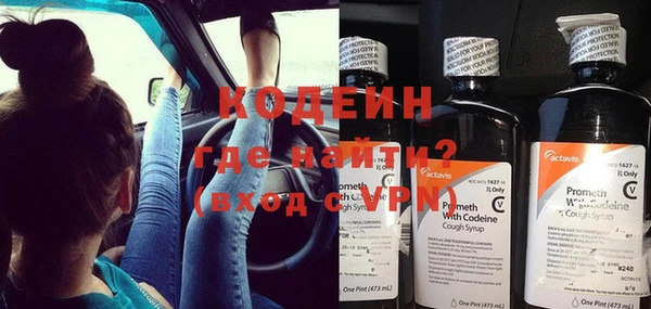хмурый Бородино