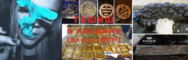 хмурый Бородино