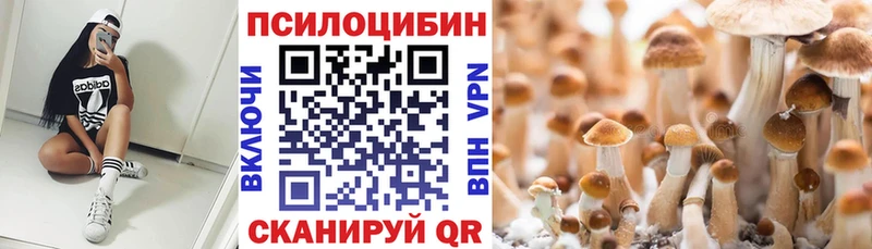 Галлюциногенные грибы Cubensis  Миллерово 